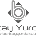 berkay-yurdakul-retina-logo-gri-544x180px