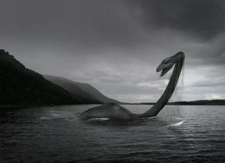 Türkiye’de bir Nessie: Van Gölü Canavarı