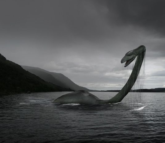 Türkiye’de bir Nessie: Van Gölü Canavarı